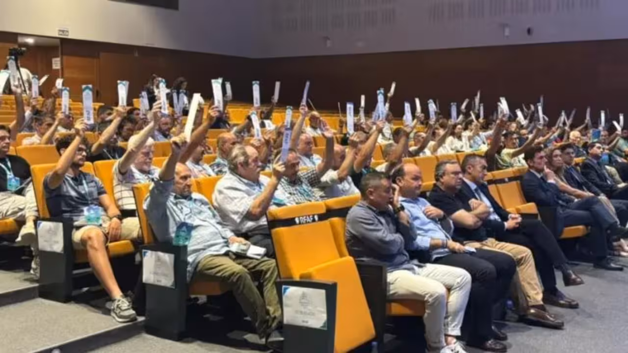 asamblea rfaf