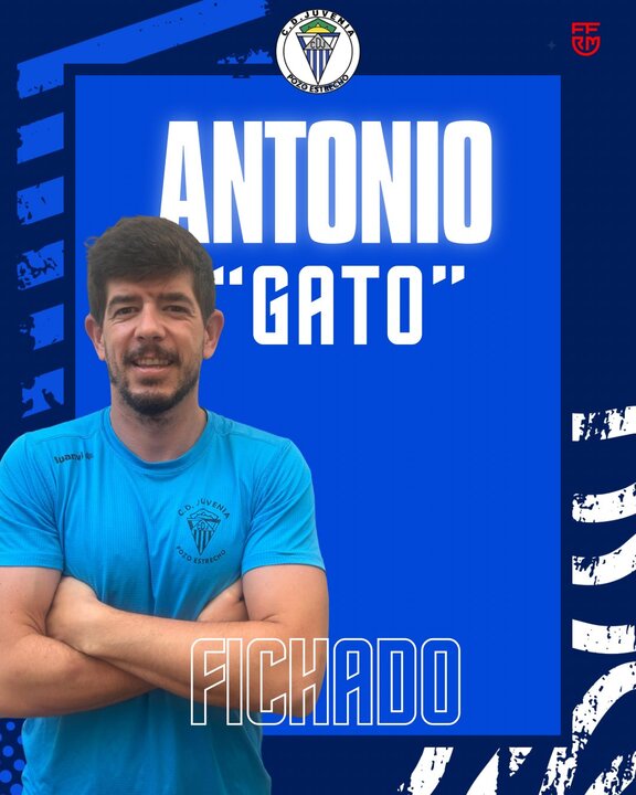 gato